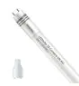 Philips Tube LED T8 CorePro (UN) High Output 8W 900lm - 865 Lumière du Jour | 60cm - Équivalent 18W